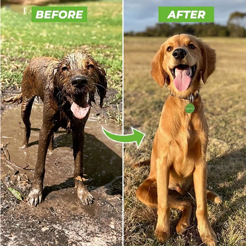Pistolet BAIN CALME pour Chien avec Distributeur de Savon